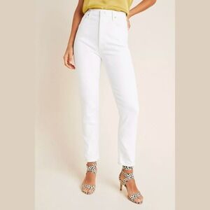Agolde Nico High Rise Slim Womens Size 28 Button Fly Jeans White Minimalist Chic
